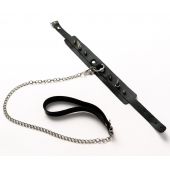 Черный ошейник с шипами и поводком - Crazy Handmade - купить с доставкой в Орске