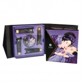 Подарочный набор Geishas secret из 5 предметов - Shunga - купить с доставкой в Орске