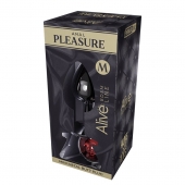 Серебристая анальная втулка Mini Metal Butt Plug Size M с красным кристаллом - Adrien Lastic в Орске Серебристая анальная втулка Mini Metal Butt Plug Size M с красным кристаллом - Adrien Lastic