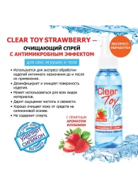 Очищающий спрей для игрушек CLEAR TOY Strawberry - 100 мл. - Биоритм - купить с доставкой в Орске