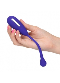 Фиолетовый шарик с электростимуляцией и вибрацией Intimate E-Stimulator Remote Kegel Exerciser - California Exotic Novelties - купить с доставкой в Орске