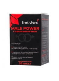 Капсулы для мужчин Erotichard male power с пантогематогеном - 20 капсул (0,370 гр.) - Erotic Hard - купить с доставкой в Орске