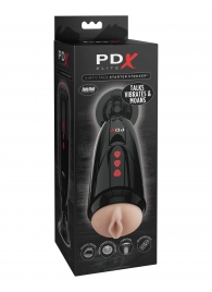 Мастурбатор-вагина с вибрацией Dirty Talk Starter Stroker - Pipedream - в Орске купить с доставкой
