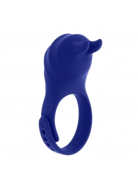 Синее эрекционное виброкольцо с клиторальной подушечкой и пультом ДУ Adjustable Fun Ring - Zero Tolerance - в Орске купить с доставкой