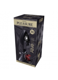 Серебристая анальная втулка Mini Metal Butt Plug Size M с красным кристаллом - Adrien Lastic в Орске Серебристая анальная втулка Mini Metal Butt Plug Size M с красным кристаллом - Adrien Lastic