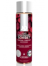 Лубрикант на водной основе с ароматом малины JO Flavored Raspberry Sorbet - 120 мл. - System JO - купить с доставкой в Орске