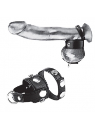 Утяжка для мошонки и пениса Cock Ring With 1  Ball Stretcher And Optional Weight Ring - BlueLine - купить с доставкой в Орске