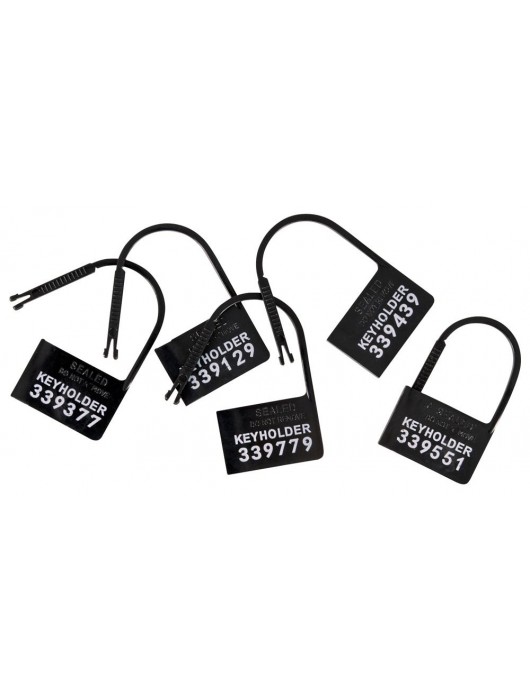 Набор для мужского пояса верности Cock Cage Set - Orion - купить с доставкой в Орске