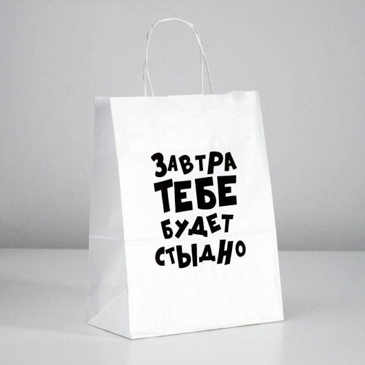 Подарочный пакет  Завтра тебе будет стыдно  - 30 х 24 см. - UPAK LAND - купить с доставкой в Орске