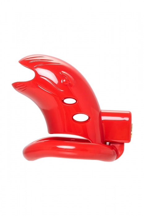 Красный мужской пояс верности из пластика - ToyFa - купить с доставкой в Орске