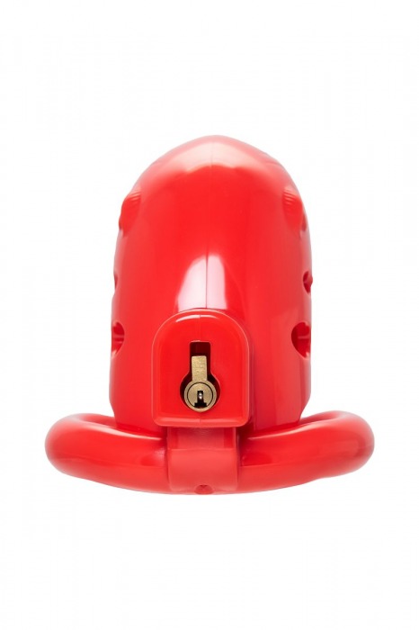 Красный мужской пояс верности из пластика - ToyFa - купить с доставкой в Орске