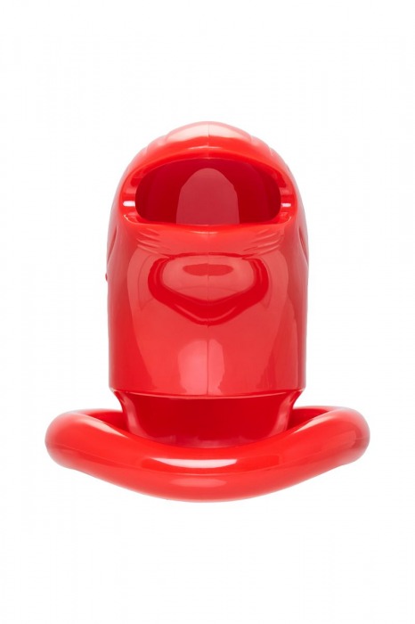 Красный мужской пояс верности из пластика - ToyFa - купить с доставкой в Орске