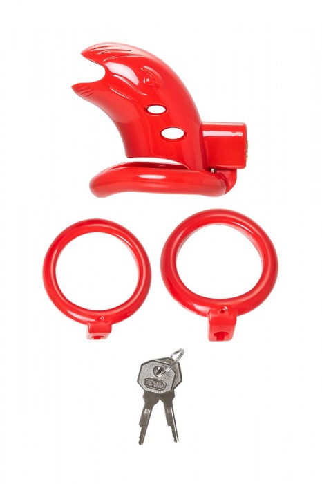 Красный мужской пояс верности из пластика - ToyFa - купить с доставкой в Орске