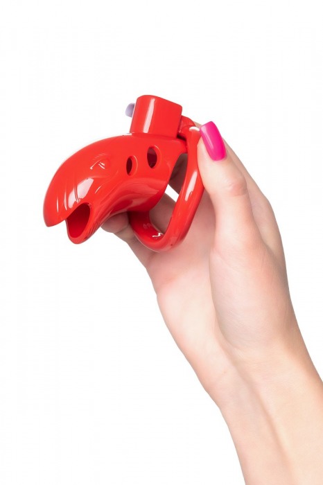 Красный мужской пояс верности из пластика - ToyFa - купить с доставкой в Орске