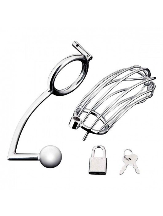 Серебристая металлическая клетка с анальным стимулятором Cock Cage - BlueLine - купить с доставкой в Орске