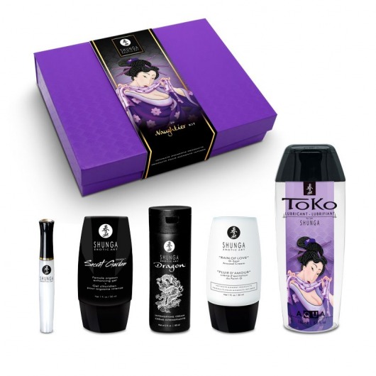 Подарочный набор Naughter Kit - Shunga - купить с доставкой в Орске