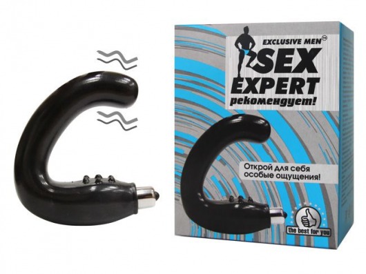 Чёрный массажёр простаты серии Sex Expert - Sex Expert - в Орске купить с доставкой