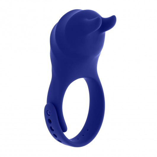 Синее эрекционное виброкольцо с клиторальной подушечкой и пультом ДУ Adjustable Fun Ring - Zero Tolerance - в Орске купить с доставкой
