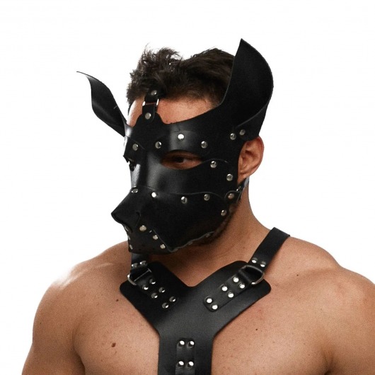 Черная кожаная маска «Собака» - Crazy Handmade - купить с доставкой в Орске