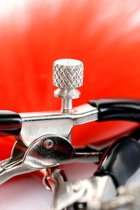 Зажимы для сосков с красным пухом Theatre - ToyFa - купить с доставкой в Орске