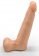Фаллоимитатор телесного цвета на трусиках с плугом - 16,5 см. - LOVETOY (А-Полимер) купить в Орске с доставкой в Orgasmix.ru Фаллоимитатор телесного цвета на трусиках с плугом - 16,5 см. - LOVETOY (А-Полимер) - купить с доставкой в Орске